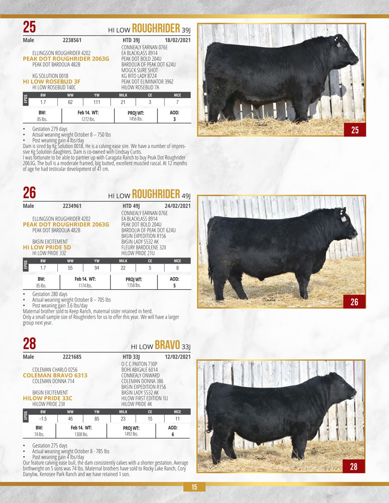 Page 15 of sale catalogue