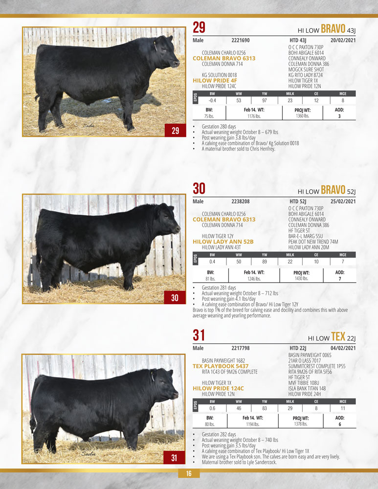 Page 16 of sale catalogue